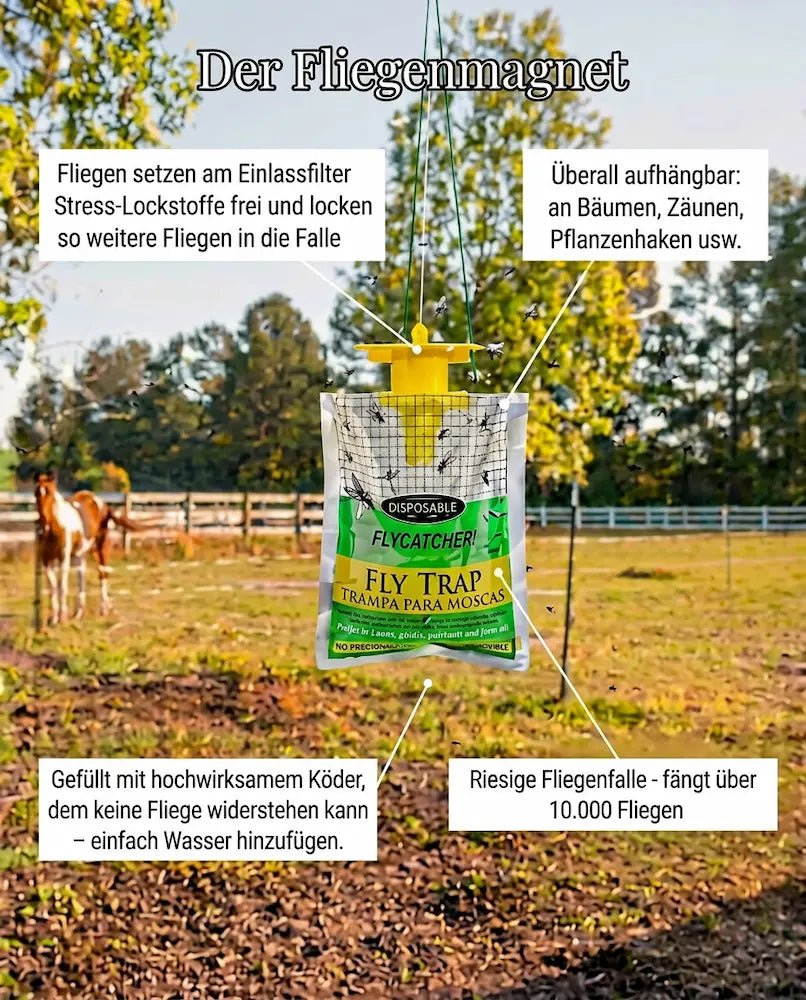 BioCatch Fliegenmagnet